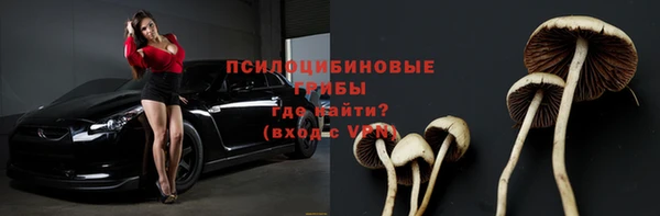 прущий лед Карпинск