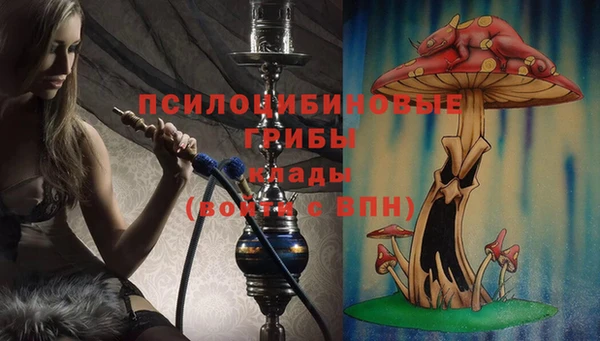 кокс Кинешма