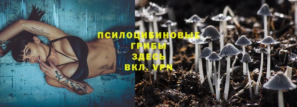 дурь Каменск-Шахтинский